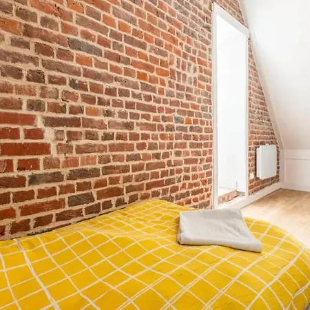 Le Duplex Du Biplan Apartment Lille Exterior photo